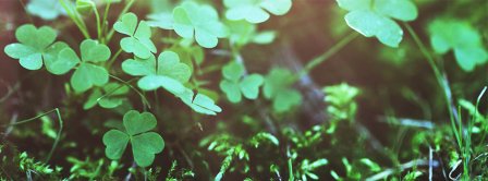 Saint Patricks Clovers Facebook Covers